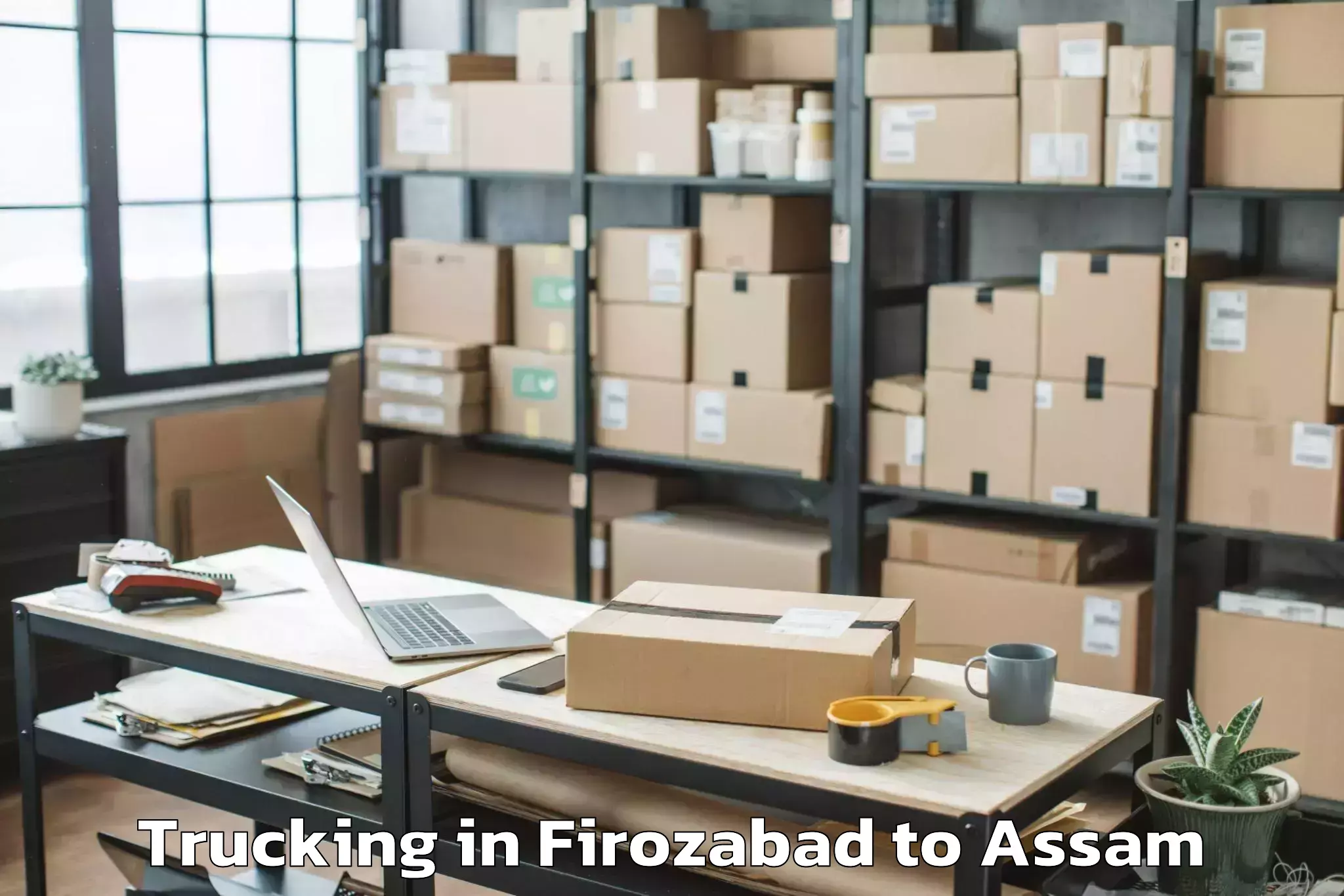 Affordable Firozabad to Mikirbheta Trucking